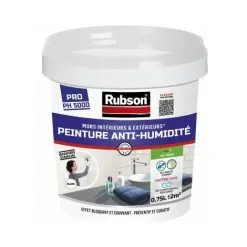Rubson Peinture Anti-Humidité, Peinture Acrylique Anti-moisissures Préventif Ou Curatif, Peinture Blanche & étanche Idéale Pour Les Murs Intérieurs & Enterrés, 0,75 L, Blanc