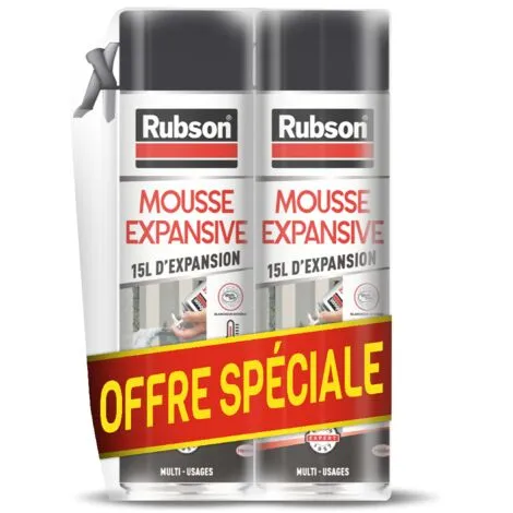 Rubson Mousse Expansive Multi Usages Lot De 2